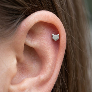Titanium Labret Cat Internally Threaded – getragen