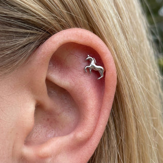 Titanium Labret Horse Internally Threaded – getragen