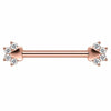 Titanium Nipple Piercing Animal Paw Print Zirconia Internally Threaded