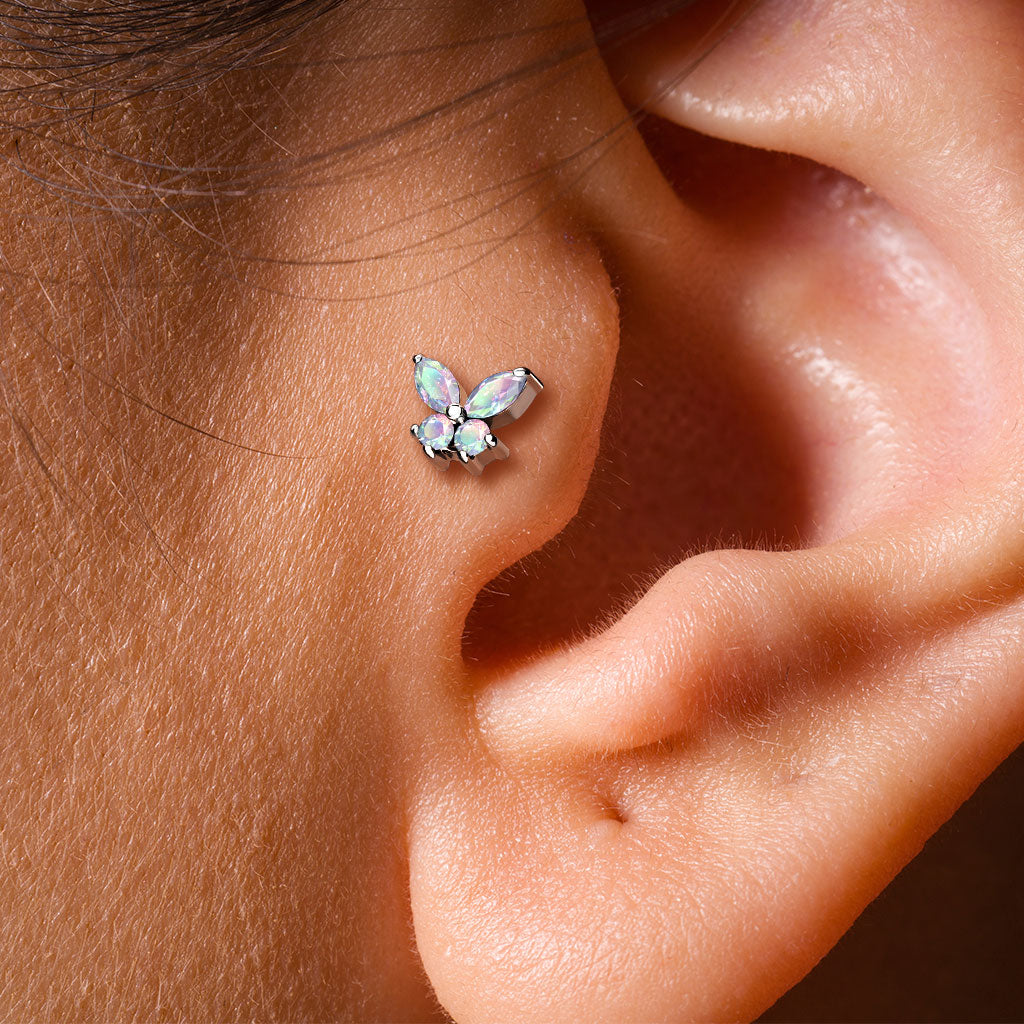 Tragus-Piercing